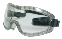 Antiparra Crews  Stryker Clear  2310